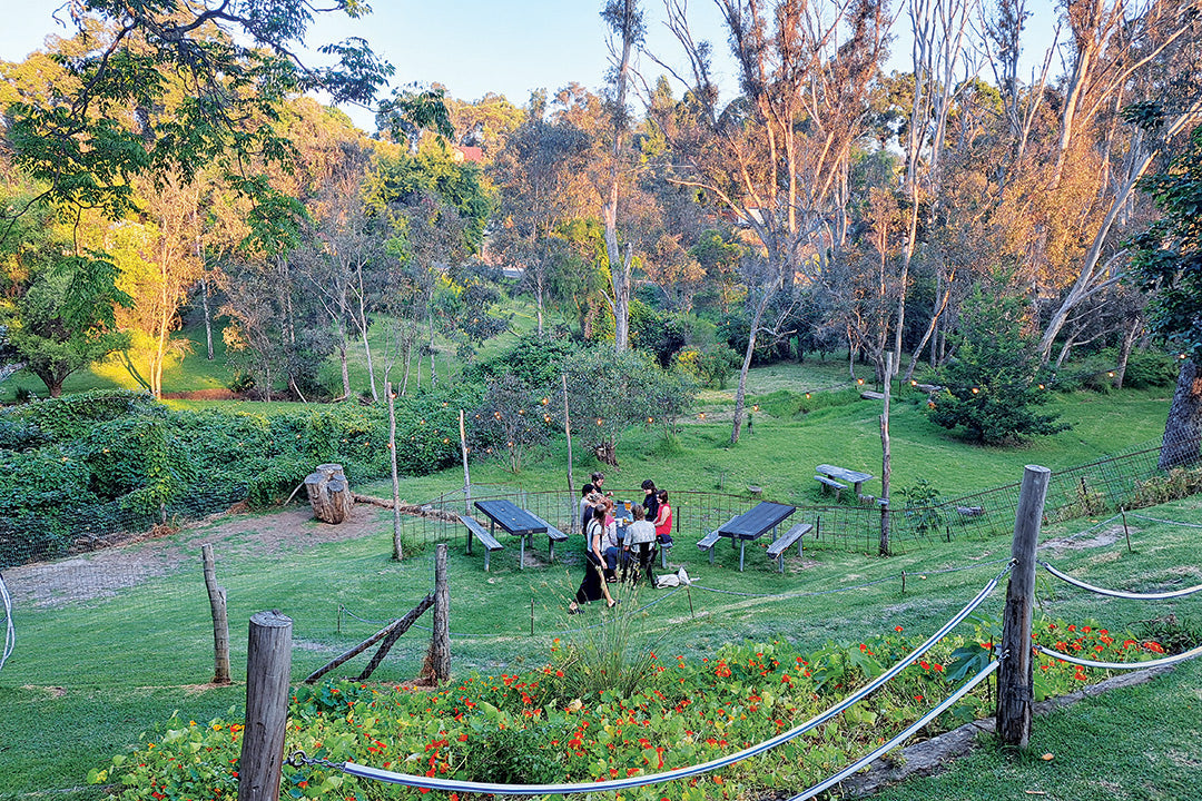 The view from the Nannup Brewing Co. deck