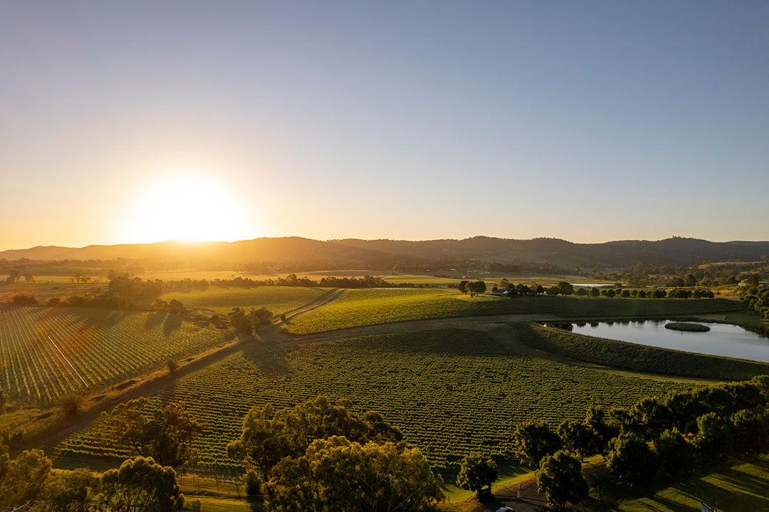 Beauty beyond compare: The Yarra Valley and Dandenong Ranges
