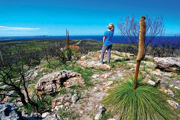 Booderee National Park, NSW - Caravan World Australia