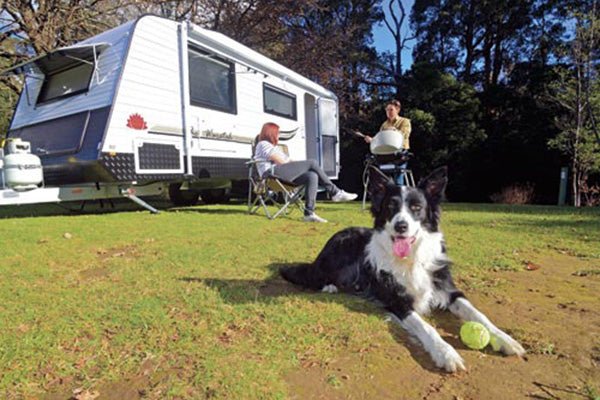 Caravanning with pets - Caravan World Australia