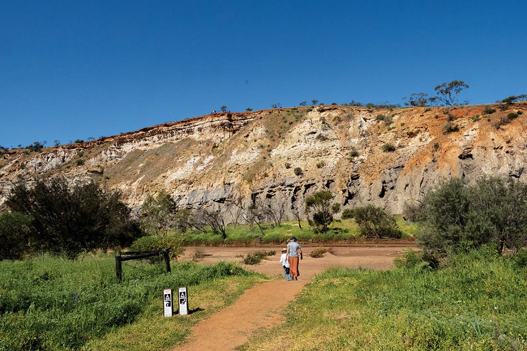 Coalseam Conservation Park, WA: Camp among the wildflowers - Caravan World Australia