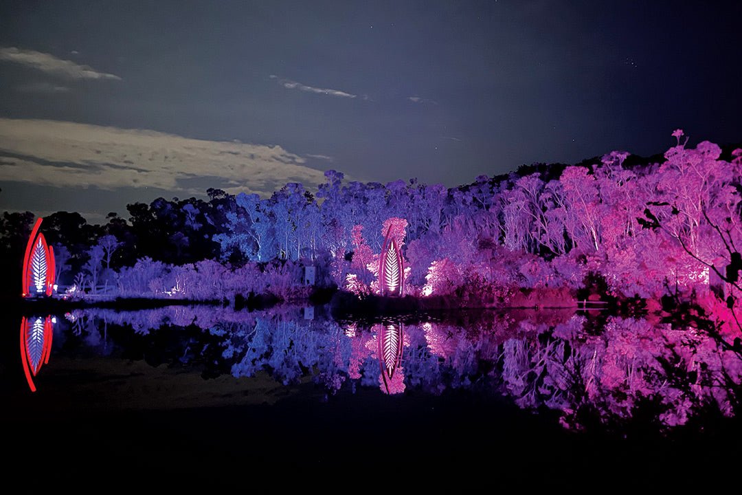 Discover K'gari’s stunning light show: Illumina - Caravan World Australia
