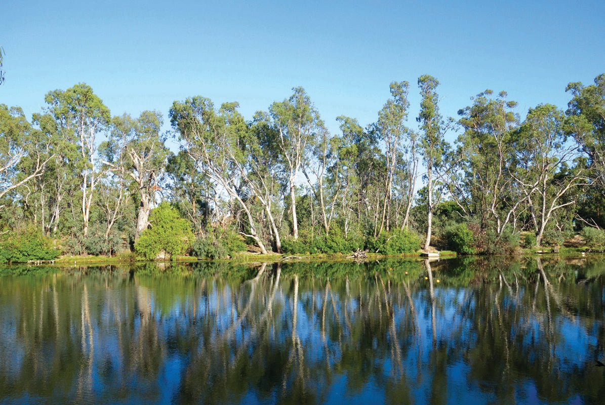 Loddon Love - Caravan World Australia