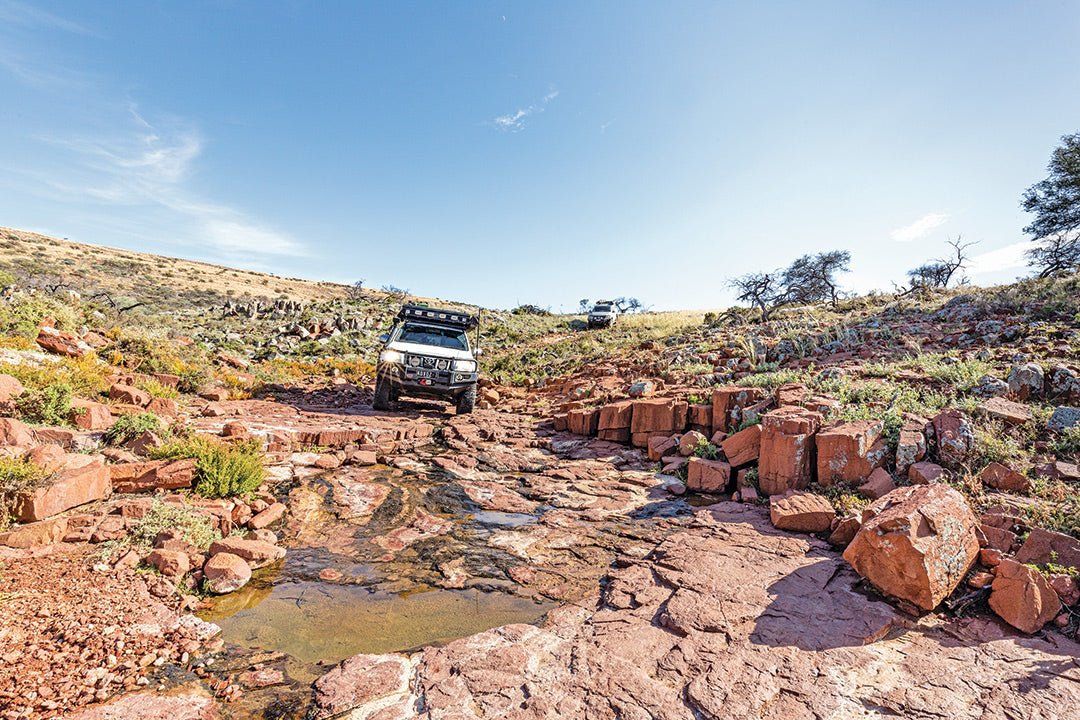 Mount Ive Station, South Australia | Outback station stay - Caravan World Australia