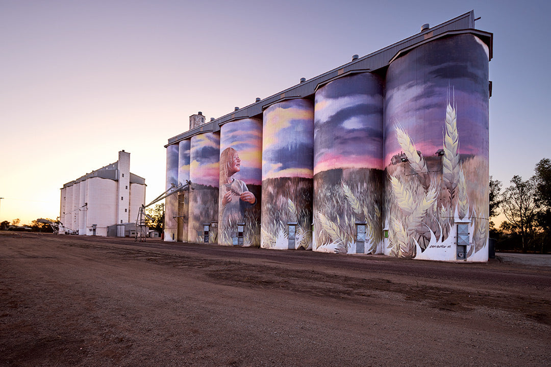 Kimba's silo art