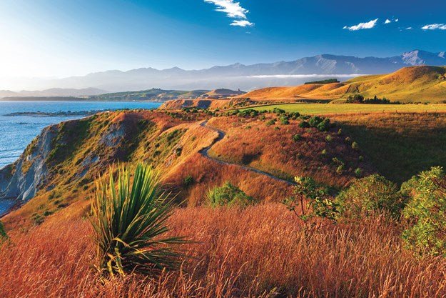 South Island, New Zealand - Caravan World Australia