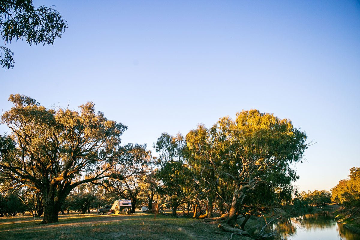 The Darling River Run – Iconic outback NSW adventures - Caravan World Australia