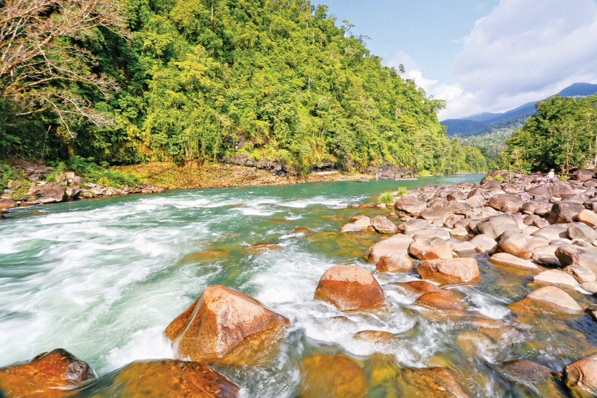The Great Green Way: Townsville and Cairns, Qld - Caravan World Australia