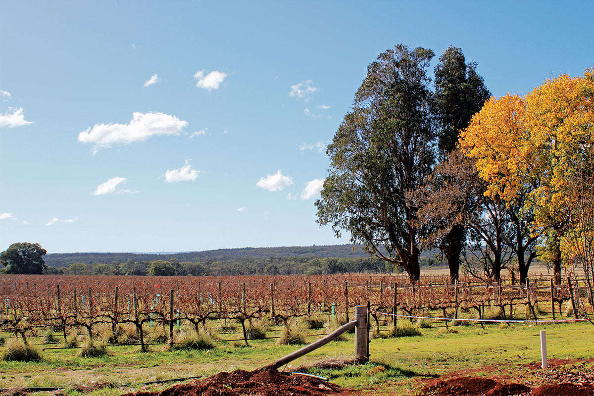 The jewell off the Newell: Inverell, New South Wales