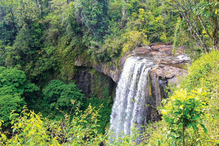 A Day in the Misty Mountains - Caravan World Australia