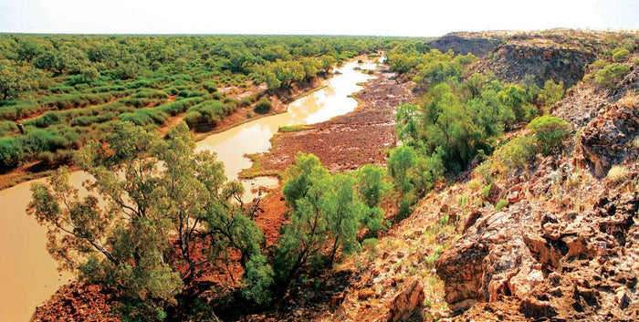 A Diamond in the Rough - Caravan World Australia