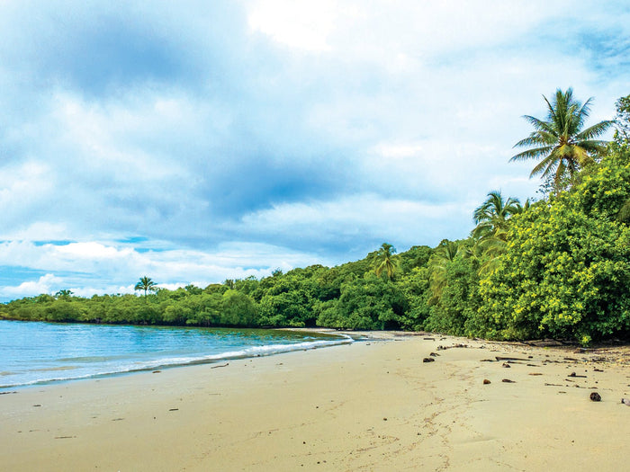 A Taste of the Tropics - Caravan World Australia