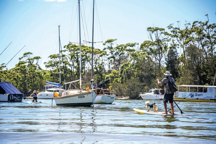 All the Fun of the Shoalhaven - Caravan World Australia