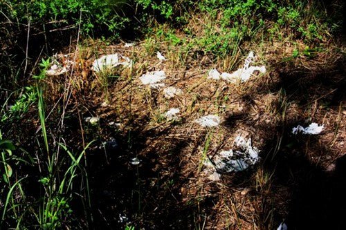 Are you a dumper - Caravan World Australia