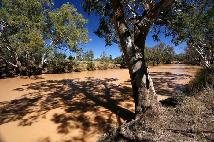 At the Crossroads - Caravan World Australia