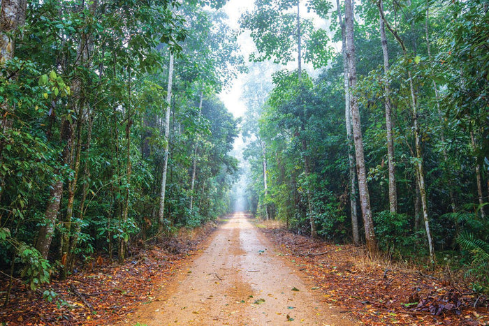 Atherton Tablelands, QLD - Caravan World Australia