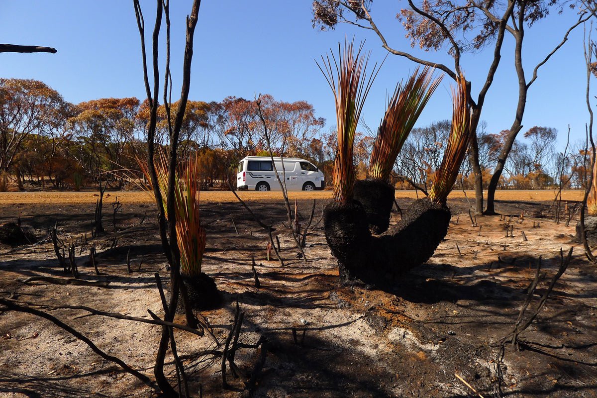 Beauty and the Bushfire Beast - Caravan World Australia