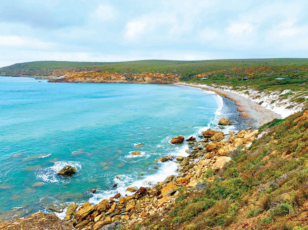 Beauty and the Ocean Beasts - Caravan World Australia