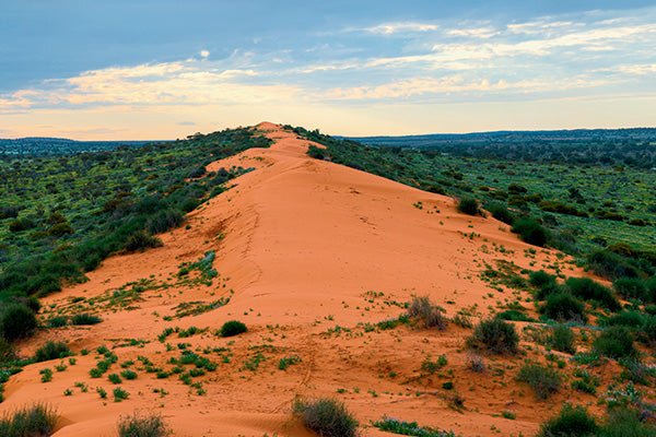 Birdsville QLD - Caravan World Australia