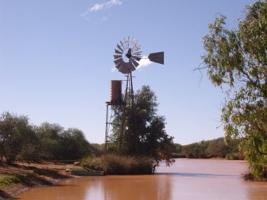 Birdwatching in Murchison, WA - Caravan World Australia