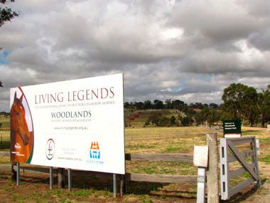 BLOG: MELBOURNE CUP TIPS - Caravan World Australia