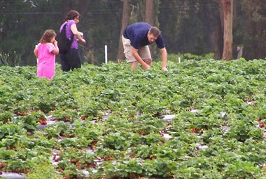 Blog: Top 5 destinations to wow the kids - Caravan World Australia