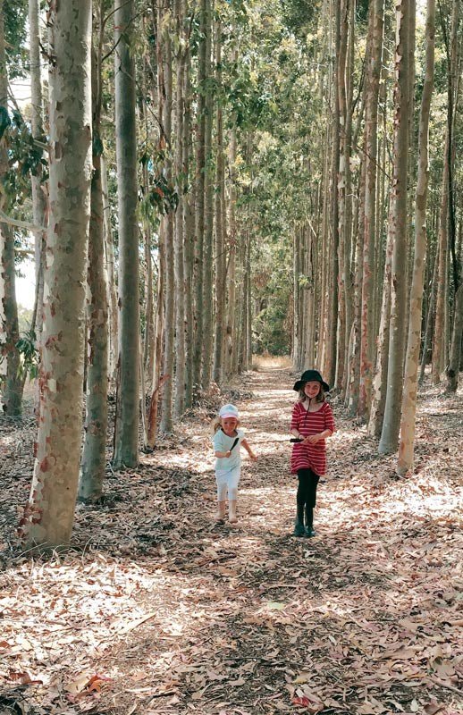 Budget Touring: Farm Stays - Caravan World Australia