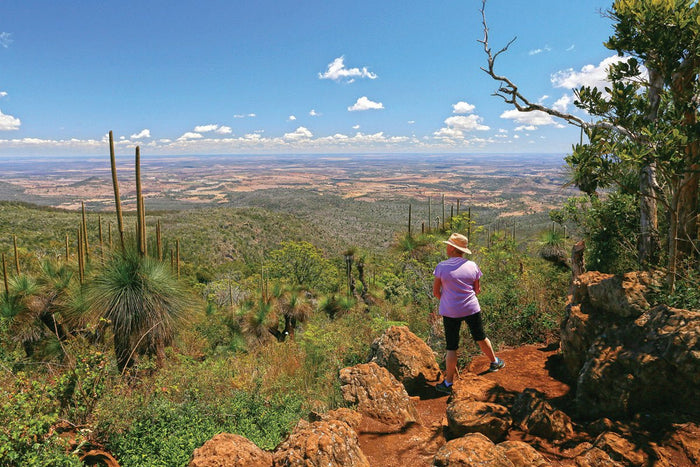 Bunya Mountains, Qld - Caravan World Australia