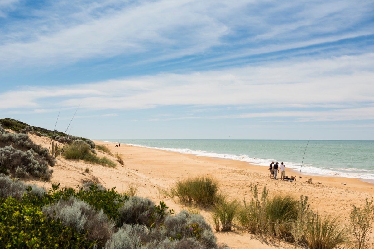 Central Gippsland's high country to the coast - Caravan World Australia