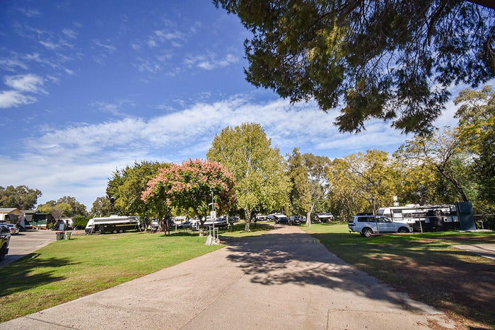 CIAA: A peak season to remember - Caravan World Australia