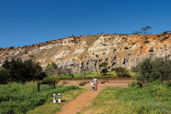 Coalseam Conservation Park, WA: Camp among the wildflowers - Caravan World Australia