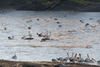 Darling River Run: The Ultimate Outback NSW 4WD Adventure - Caravan World