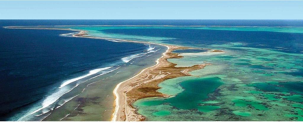 Deep-sea discoveries in Geraldton, WA - Caravan World Australia