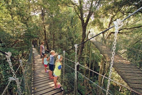 DESTINATION: LAMINGTON NATIONAL PARK, QLD - Caravan World Australia