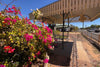 Discover the best of Barcaldine in outback Queensland - Caravan World Australia