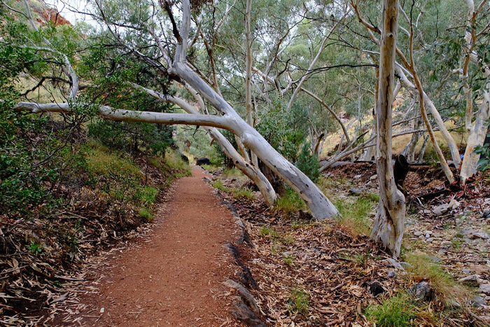 Explore the beautiful Red Centre of Australia - Caravan World Australia