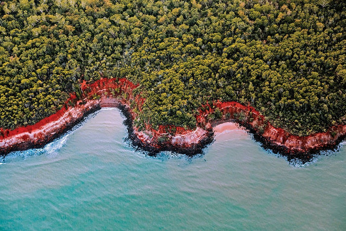 Explore the magical Tiwi Islands | Northern Territory - Caravan World Australia