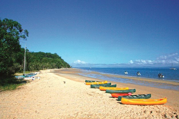 Exploring K'gari (Fraser Island), Qld - Caravan World Australia