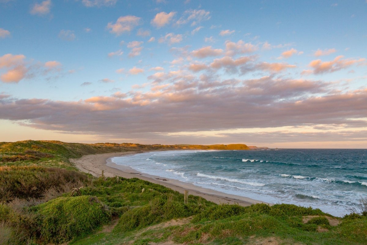 Exploring Winter Fantasy of Phillip Island - Caravan World Australia