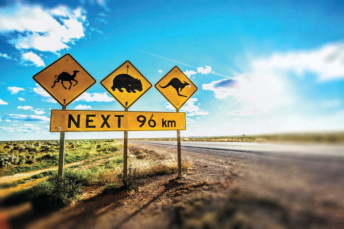 Eyre Peninsula, South Australia - Caravan World Australia