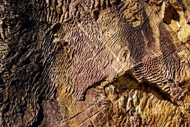 Feature: Shoulder Season Travel - Caravan World Australia