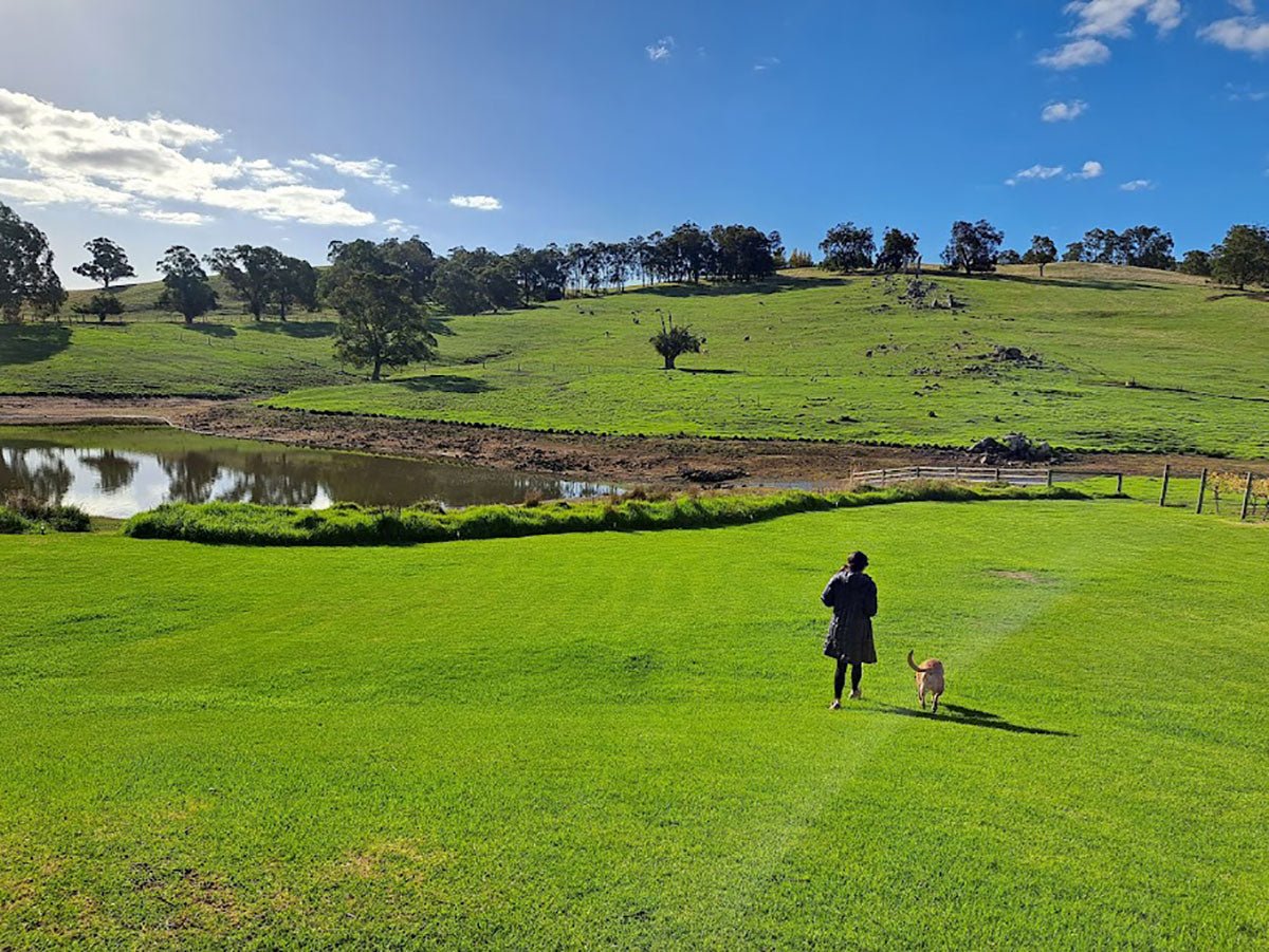 Ferguson Valley, Western Australia: A little-known treasure - Caravan World Australia