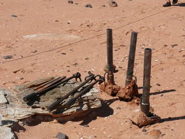 Field Notes: Bird Tracking Takes Rocket Science - Caravan World Australia