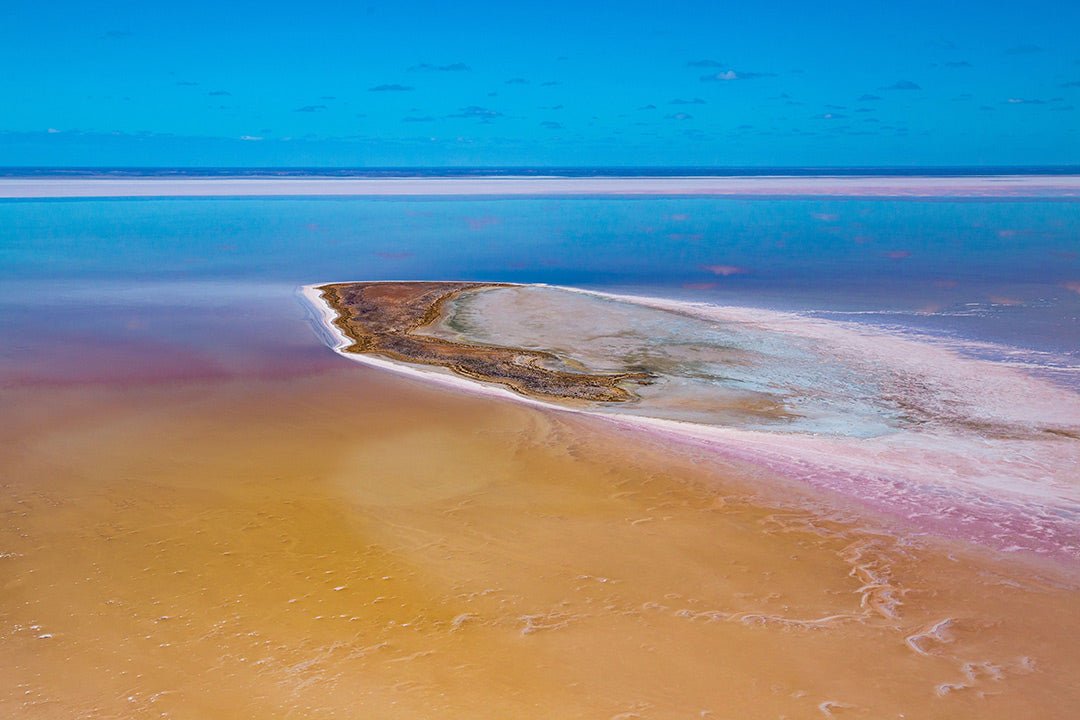 Floodwaters bring Kati Thanda–Lake Eyre to life in SA outback
