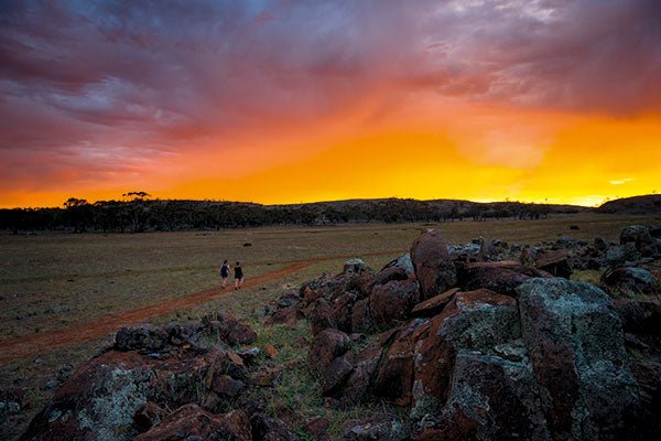 Fraser Range Station, WA - Caravan World Australia