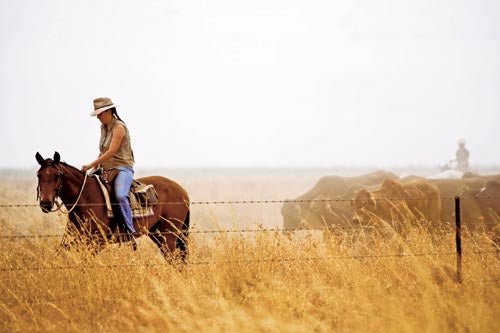 Gibb River rambling - Caravan World Australia