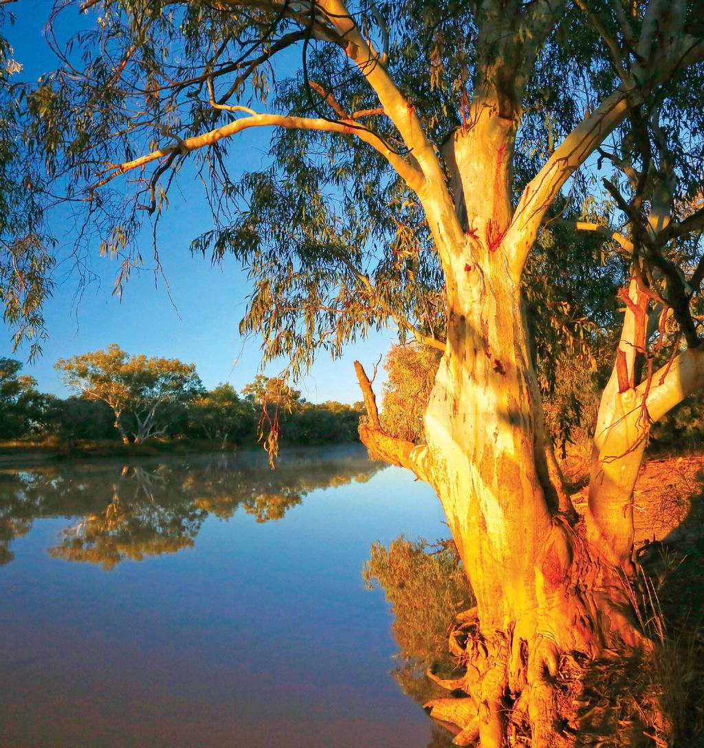 Heart of the Mulga Lands - Caravan World Australia