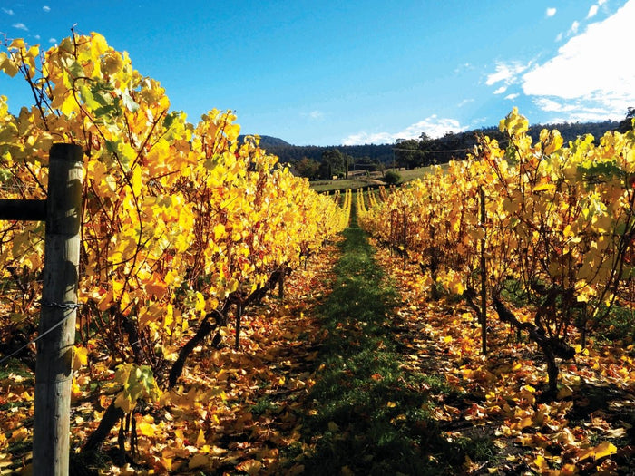 Highlights of the Huon Valley - Caravan World Australia