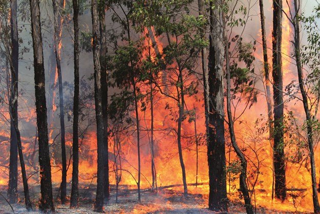 How to Survive a Bushfire - Caravan World Australia