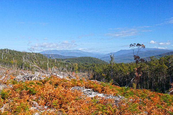 Huon Valley, Tas - Caravan World Australia